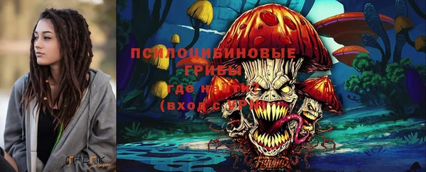 apvp Аркадак
