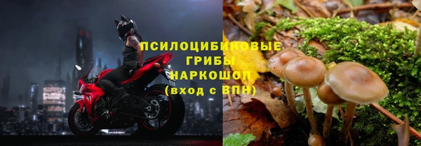 мдпв Армянск